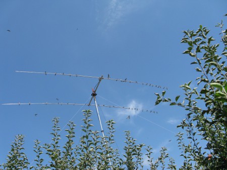 Anténa plne obsadená - august 2019